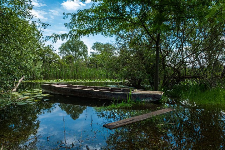 Alice nel Paese delle Meraviglie – 7 giorni di bellezze naturali